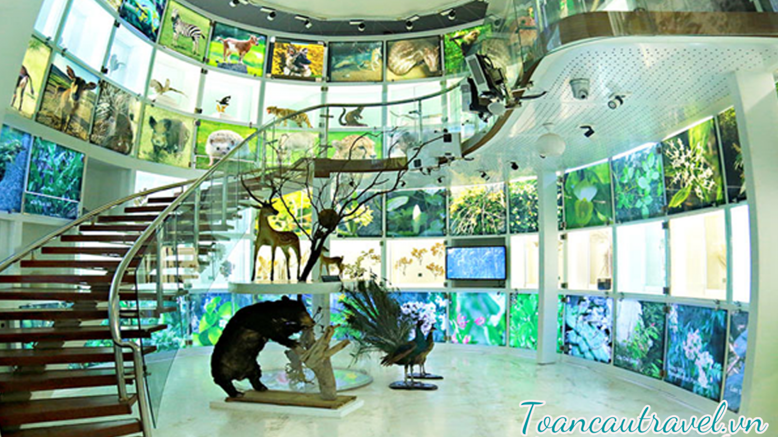 bảo tàng quảng ninh