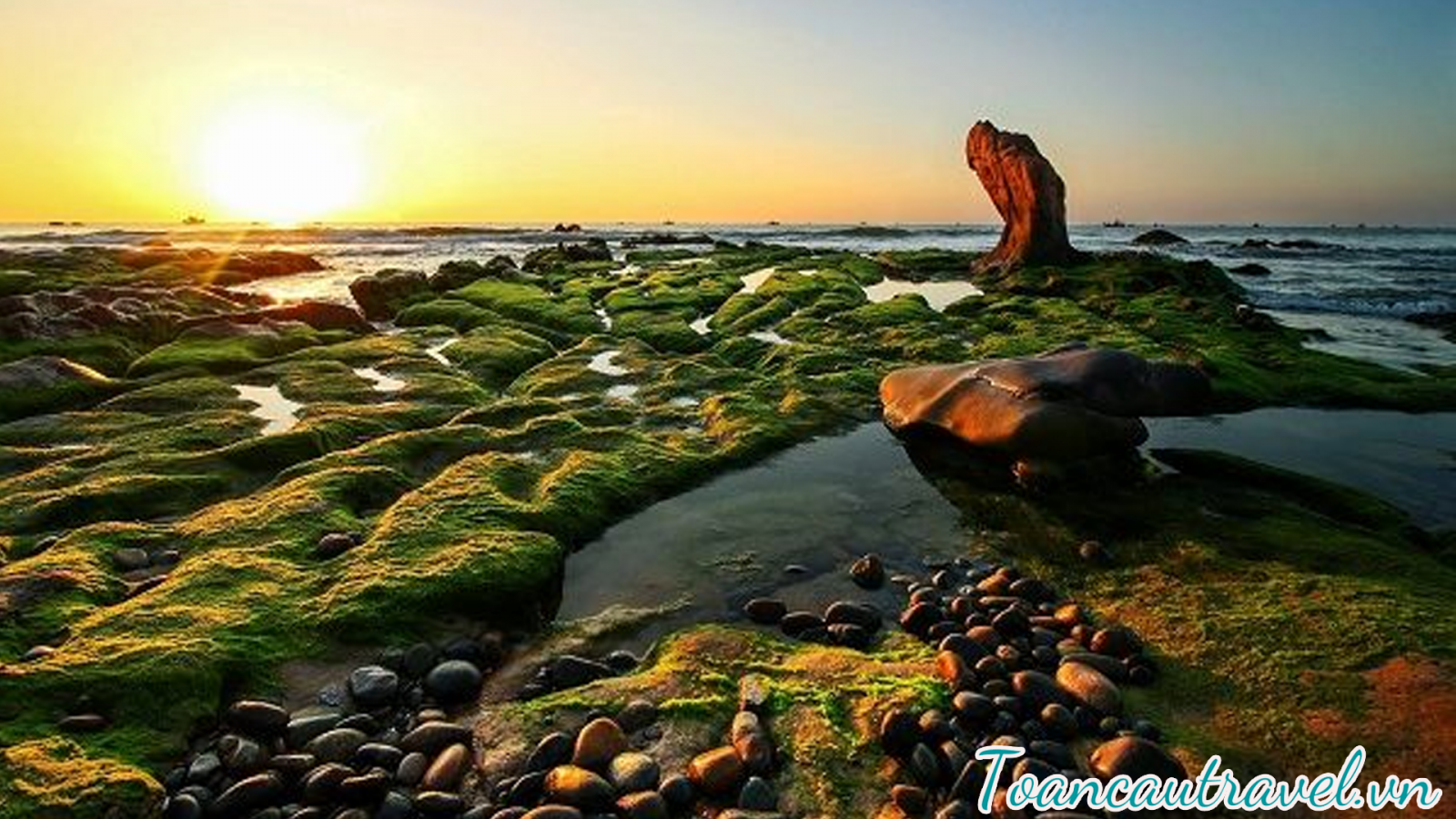 TC0173 | 	NINH CHỮ - VỊNH VĨNH HY - BÌNH HƯNG – PHAN RANG