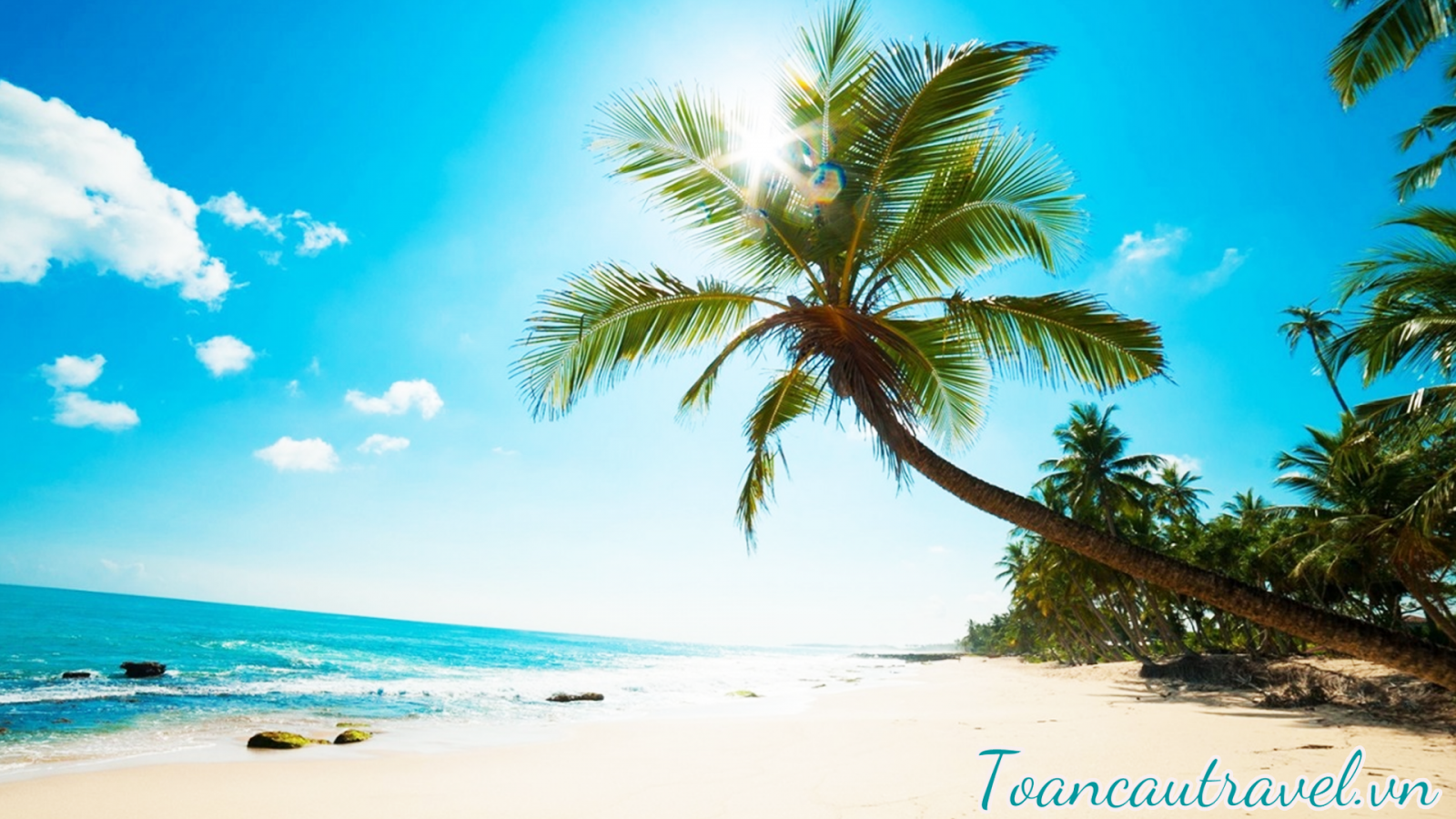 Thiên nhiên đã tạo cho Phú Quốc nhiều cảnh quan sinh thái độc đáo với 26 hòn đảo lớn nhỏ, hội tụ đầy đủ các kiểu hệ sinh thái