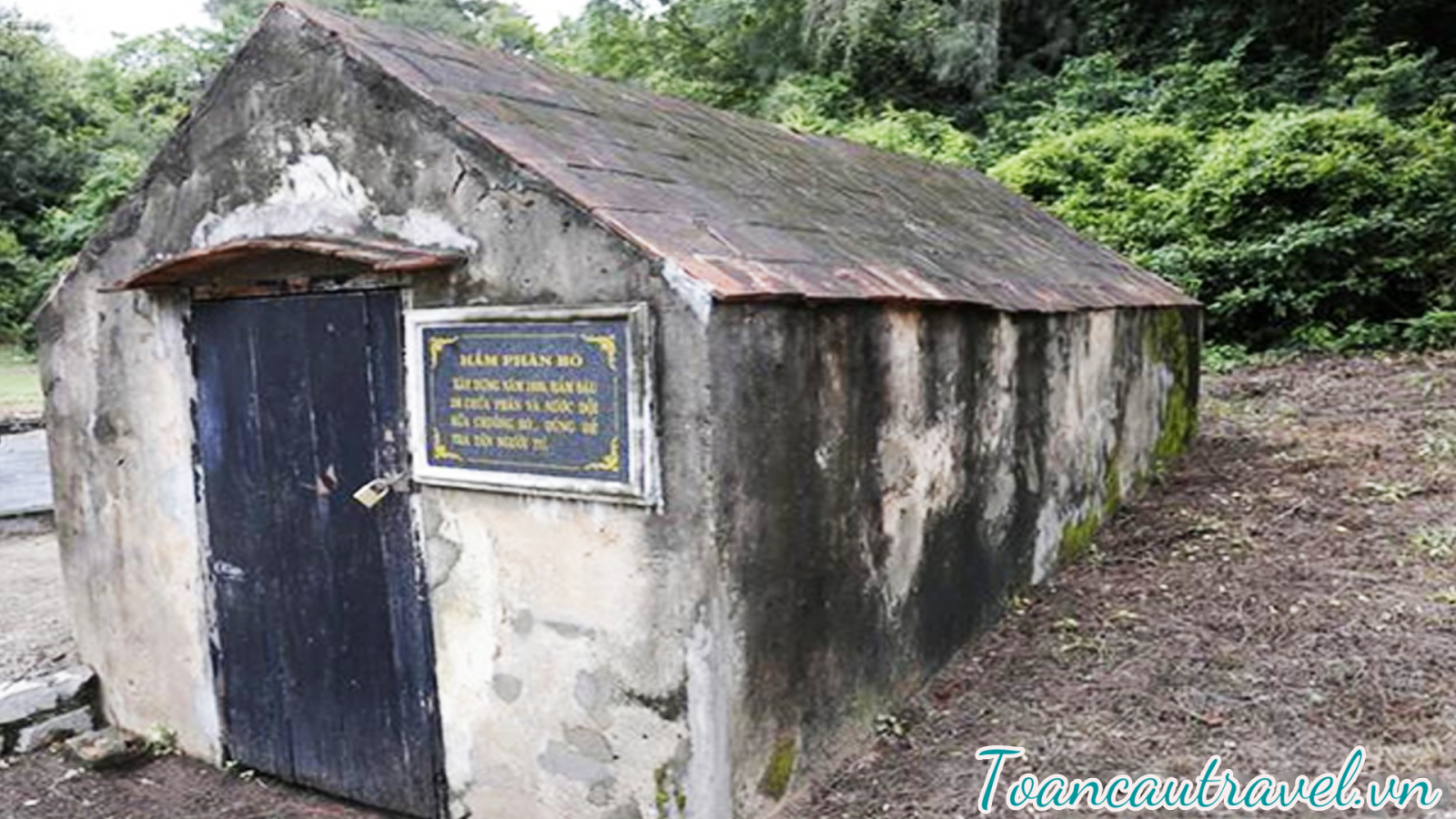 hầm phân bò và phát hiện ra có người đang bị ngâm ở dưới,