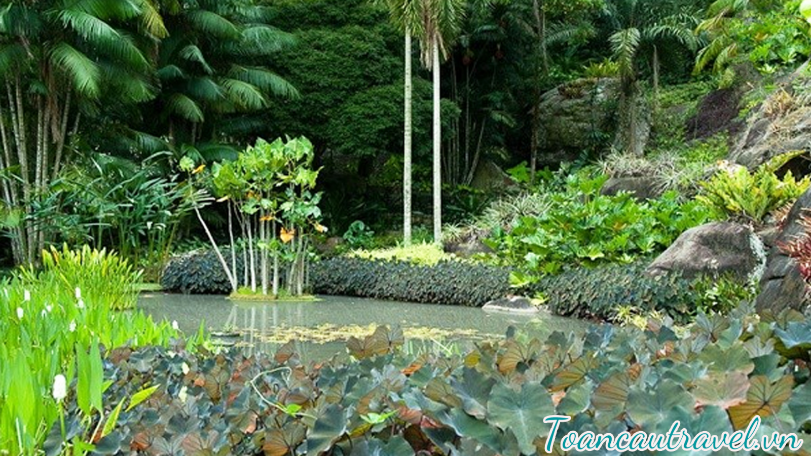 Công viên quốc gia Tijuca