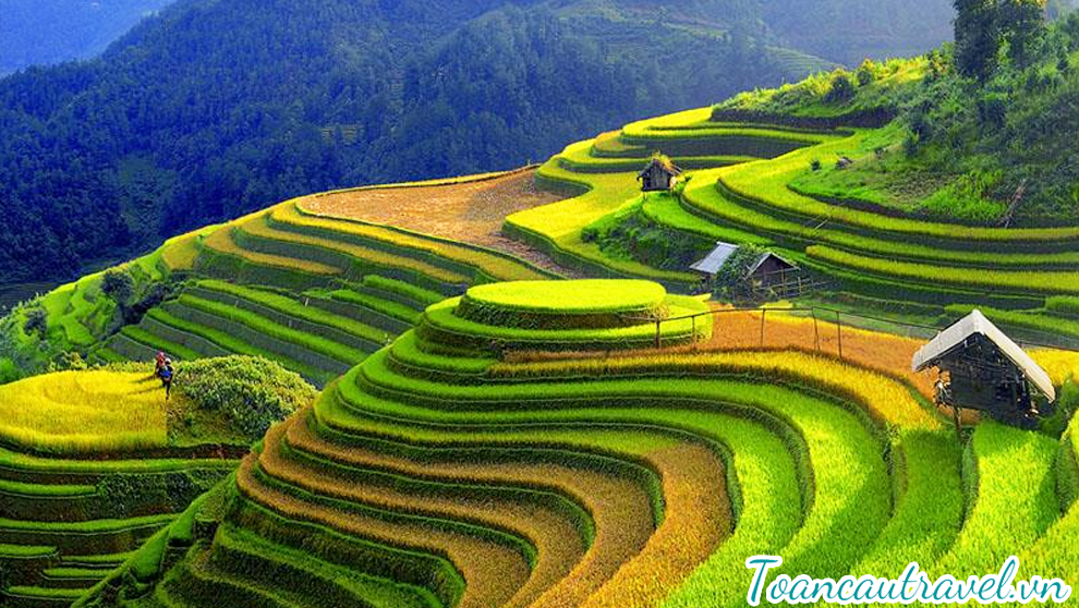 TC01309 | CHINH PHỤC VÒNG CUNG TÂY BẮC