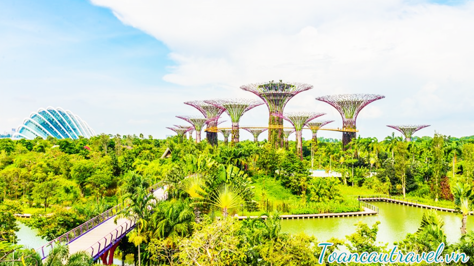 Gardens by the Bay