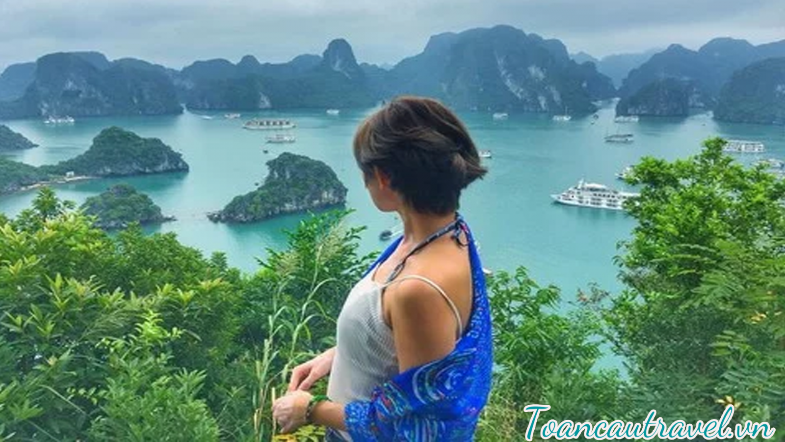 TC0113 | HẠ LONG – VẺ ĐẸP KỲ VĨ