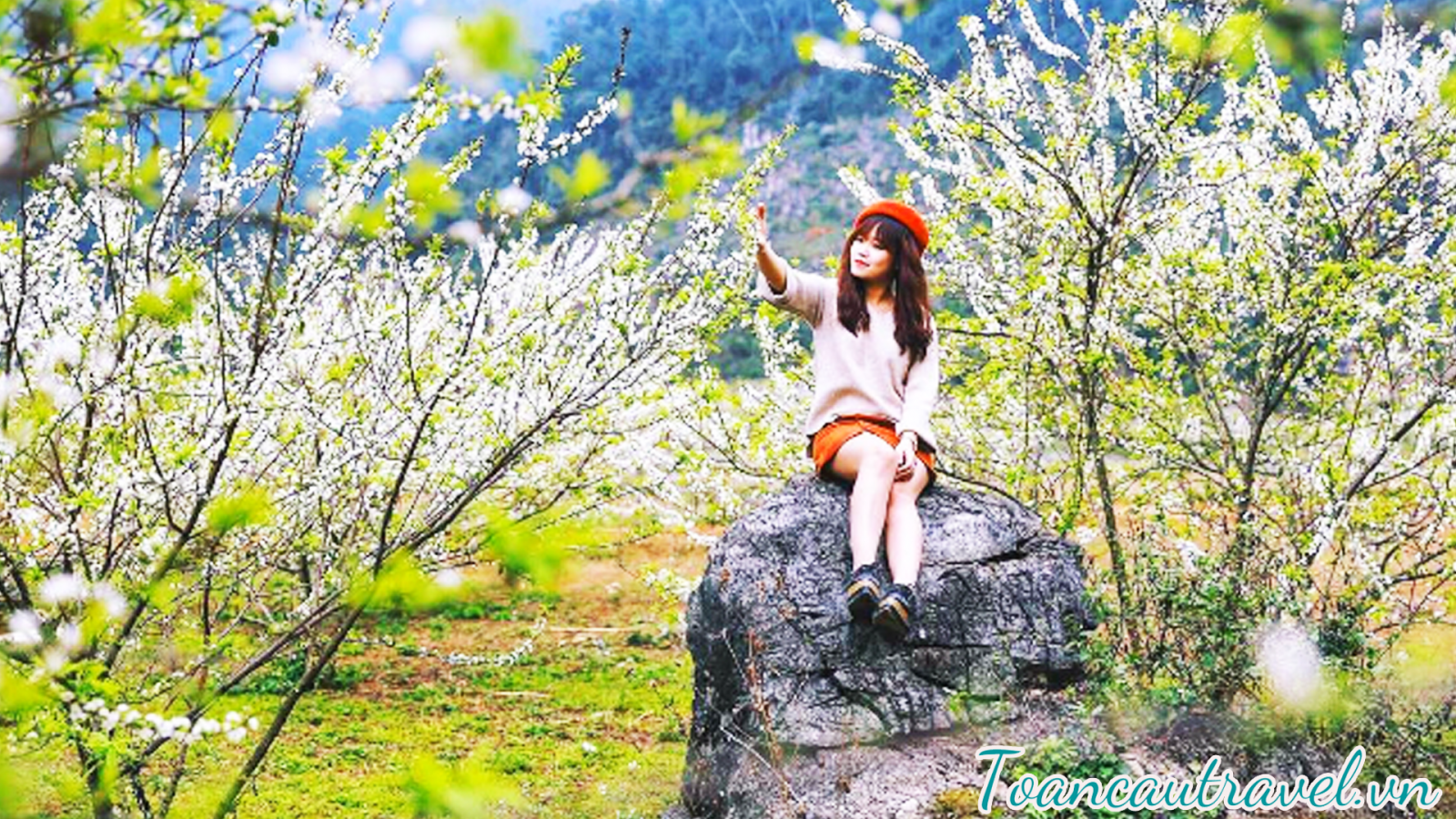 TC01251 | MỘC CHÂU - CAO NGUYÊN XANH