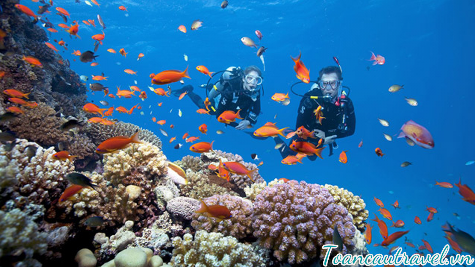 rải nghiệm lặn biển để ngắm nhìn thế giới dưới mặt nước đầy lung linh