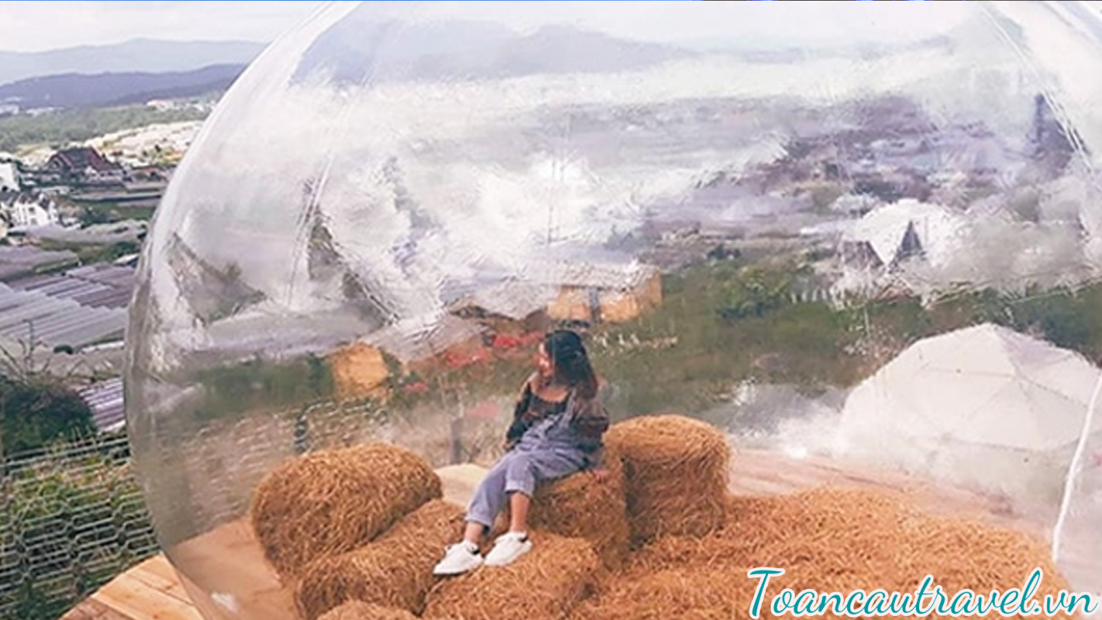 Nông Trại Sunny Farm