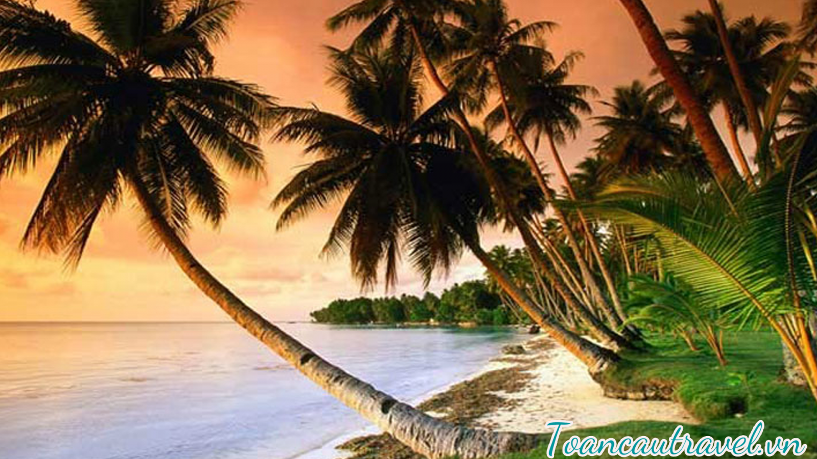 TC0172 |    HỒ CHÍ MINH - HÀ TIÊN – PHÚ QUỐC – LẶN NGẮM SAN HÔ