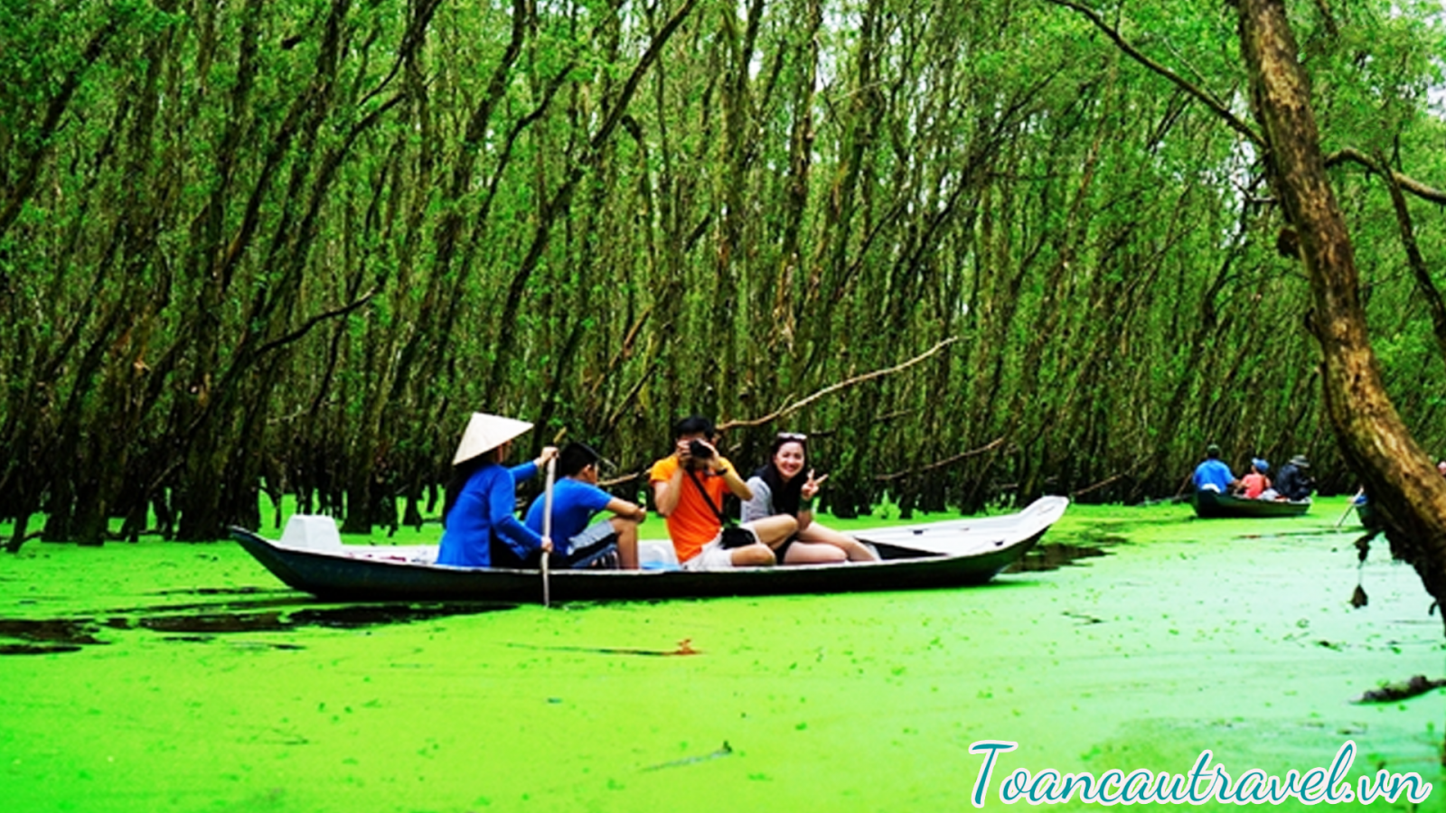 rừng tràm Trà Sư