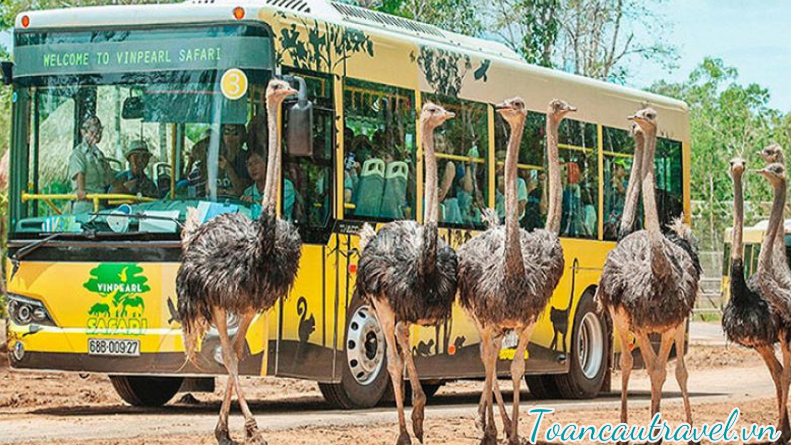 Vườn Thú Mở - Vinpearl Safari Phú Quốc