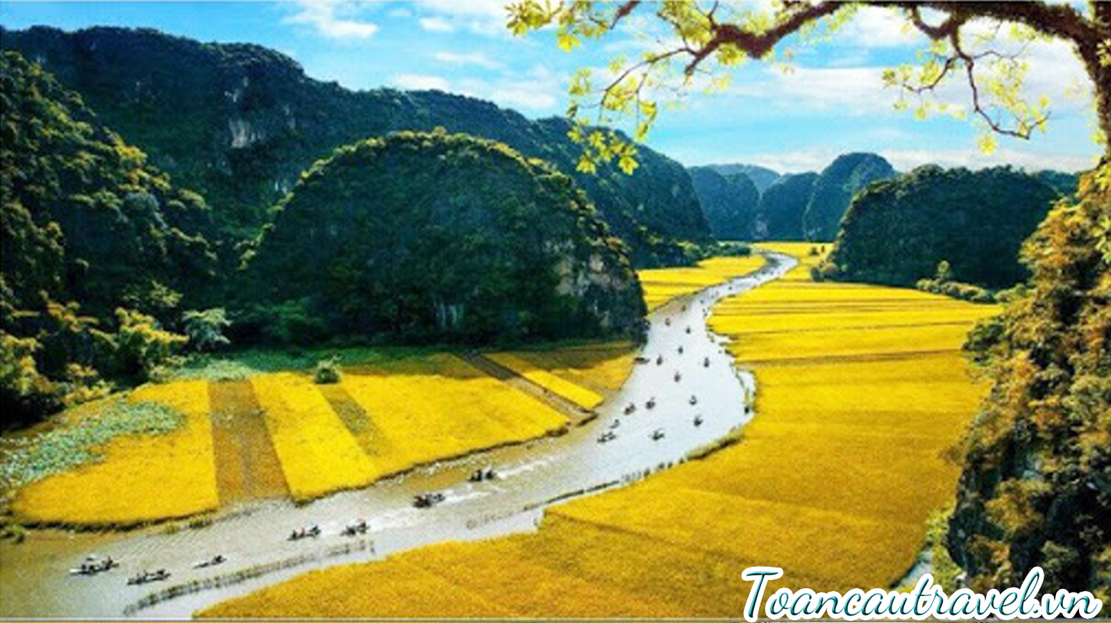 Tam cốc bích động