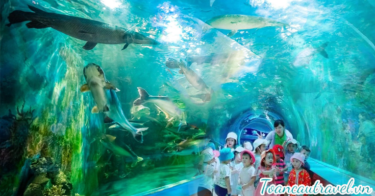 TCHS - 1001 - HÀ NỘI - THIÊN ĐƯỜNG BẢO SƠN - HÀ NỘI