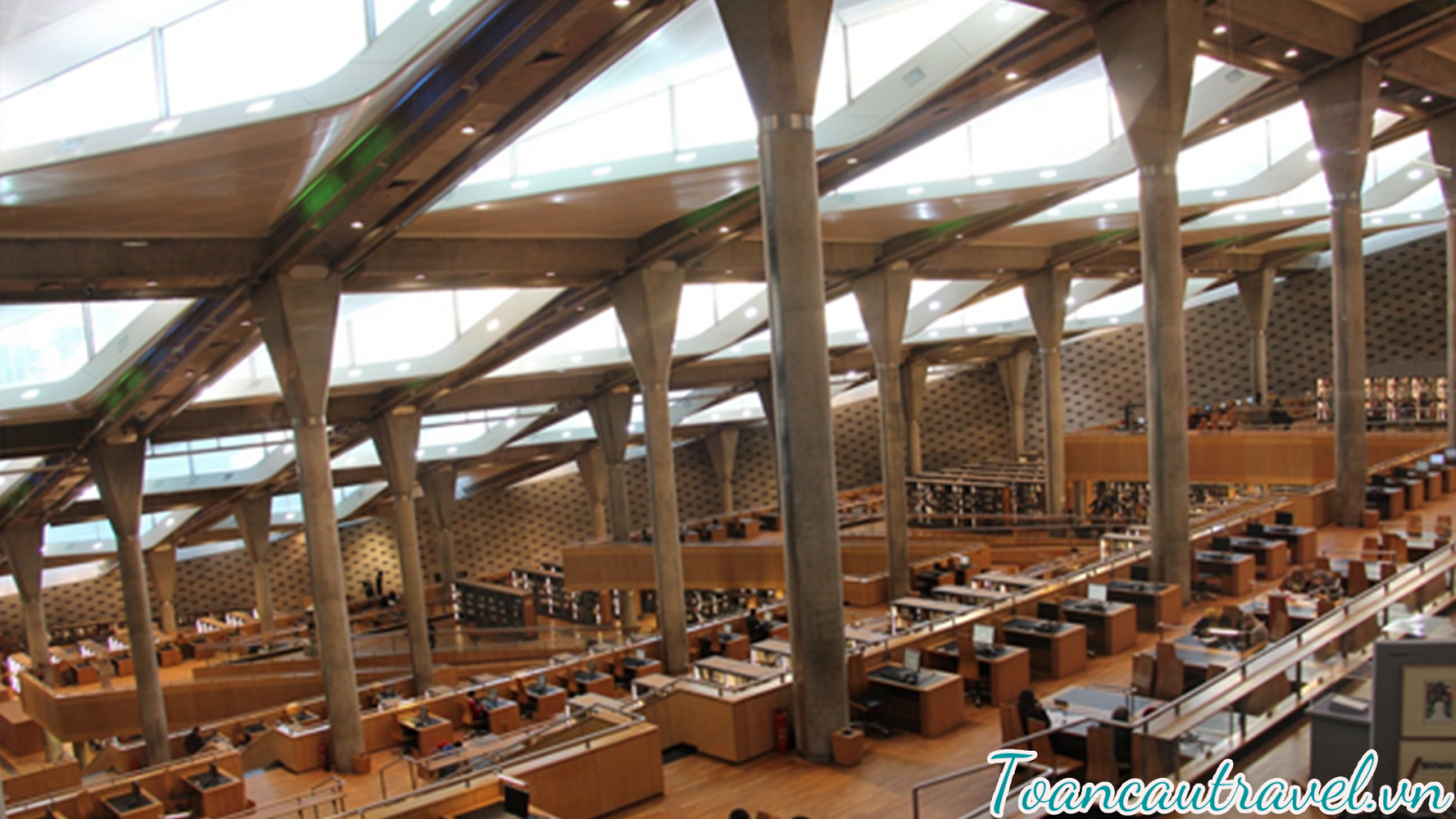 Thư viện Hoàng gia Alexandria