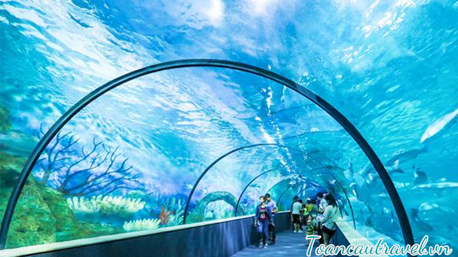 Viện Hải dương học