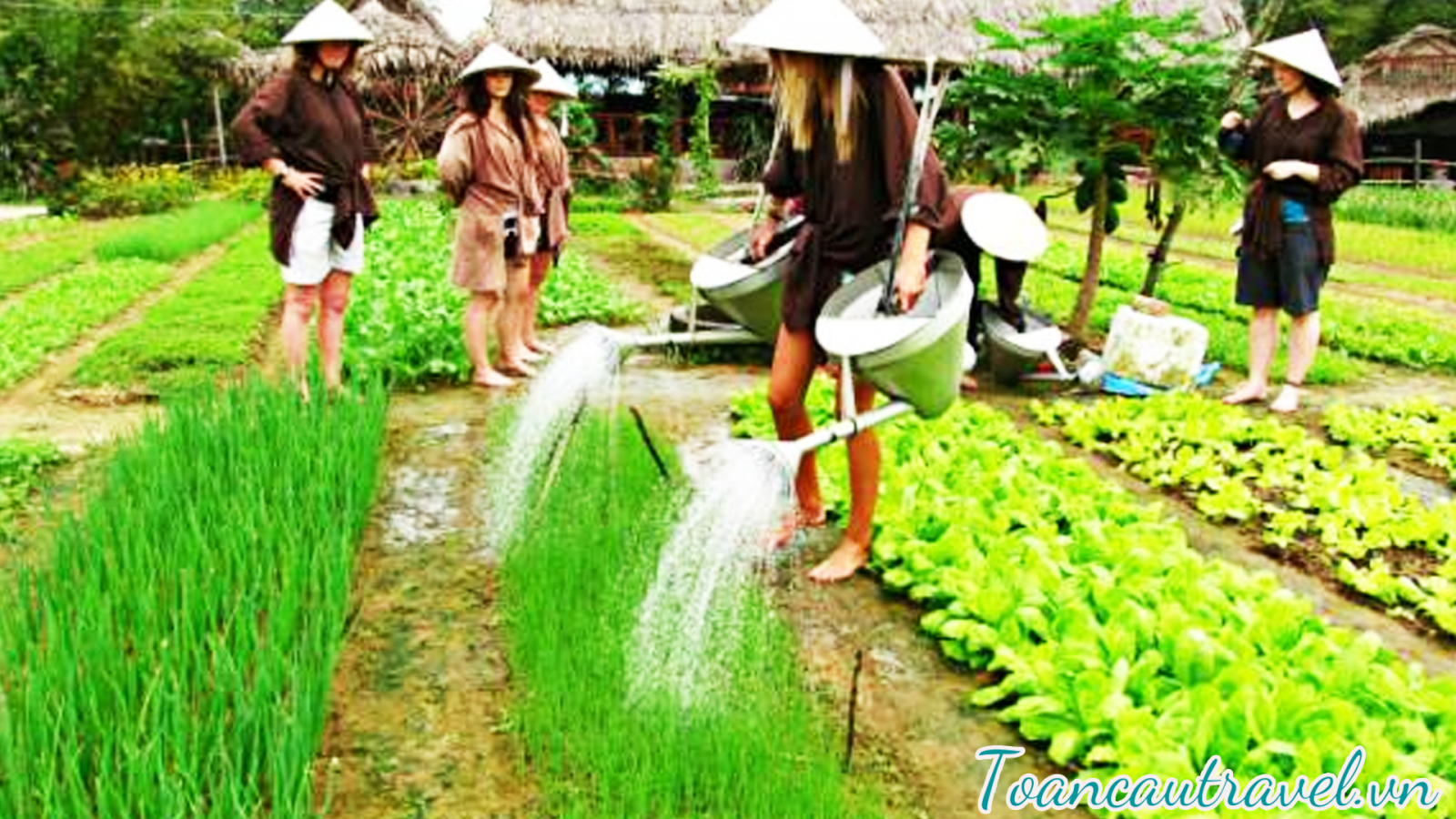 làng rau Trà Quế