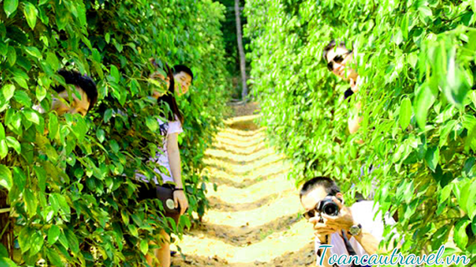 vương quốc hồ tiêu